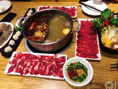 -掂档潮汕牛肉火锅(沈阳万象城店)