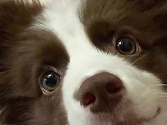 -魏家凉皮(协和店)