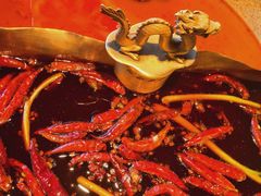 -小龙翻大江文化火锅(宽窄店)