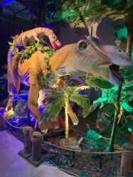 点击看大图 -恐龙探索乐园(磁器口店)