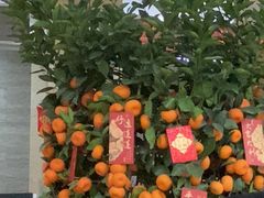 -广州仁爱天河医院
