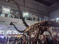 -自贡恐龙博物馆