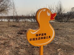 -东郊湿地公园