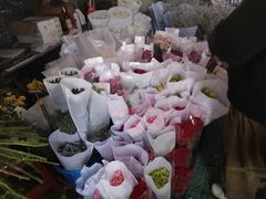 -合肥市裕丰花鸟虫鱼市场-F区