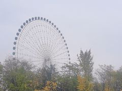 -富华游乐园