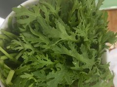 -草原传奇鲜羊火锅(桥北店)