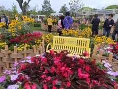 -上海植物园-4号门售票处