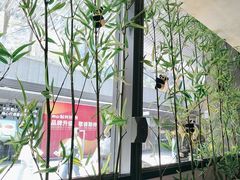 -蓉城小馆(科兴店)