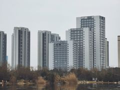 -洋湖国家湿地公园