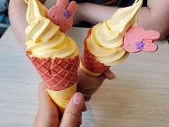 -麦当劳(花园北路店)