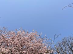 -杭州少年儿童公园