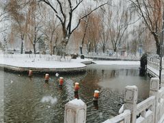 -莲花池公园
