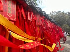 -晓琦农家菜馆·地道农家菜