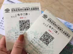 -北海金海湾红树林生态旅游区