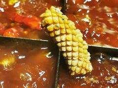 -胖碗火锅(观音桥店)