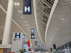 -青岛胶东国际机场