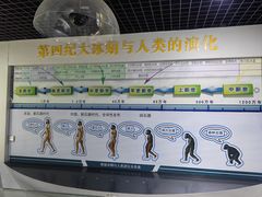 -中国第四纪冰川遗迹陈列馆
