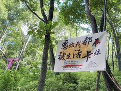 -帽儿山风景区