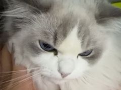 -心仪动物医院·牙专科·肿瘤·心脏科(西客站院)