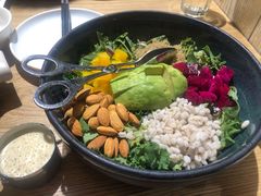 芥子酱羽翼甘蓝沙拉-小大董·烤鸭(五棵松店)