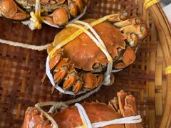 -蟹天蟹地农家菜·阳澄湖大闸蟹(浅水湾店)