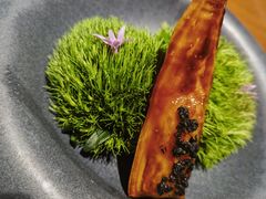 黑松露傍林鲜-觀芷隐轩