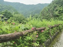 -石台牯牛降景区