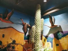 -楼兰新疆主题餐厅(坂田佳华领汇广场店)