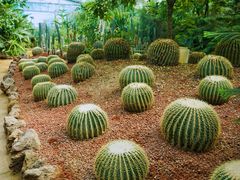 -呀路古热带植物园