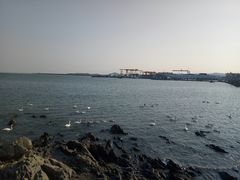 -烟墩角天鹅湖