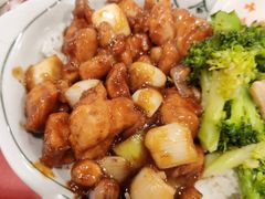 宫保鸡丁饭-和合谷(海淀五路居店)