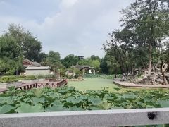 -莲湖公园