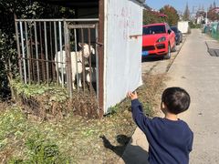 -小鱼草莓采摘园农家乐·小鱼餐厅