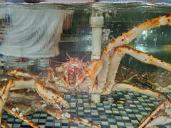 -顺德了能馆(虎门店)