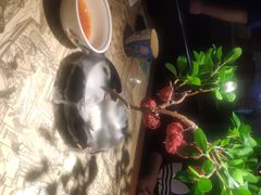 -遇见长安(兰州中心店)