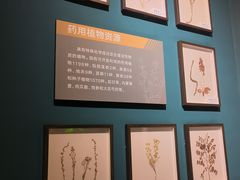 -呼和浩特博物馆