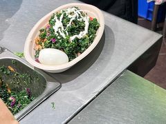 -油梨树AVOCADO TREE(顺义新国展店)