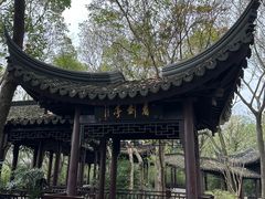 -上海佘山国家森林公园天马山园