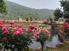 -龙寺生态园