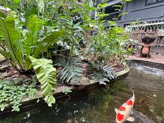 -Fern Forest Cafe