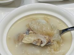 鱼翅-广州塔晖粤轩中餐厅