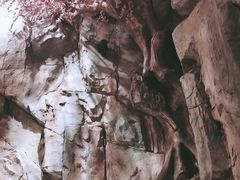-榕记(番禺总店)