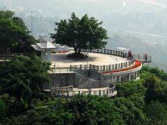 -南山植物园