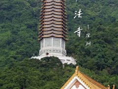 -深圳仙湖植物园