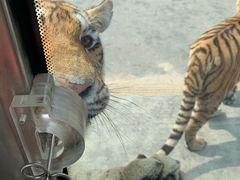 -西安秦岭野生动物园