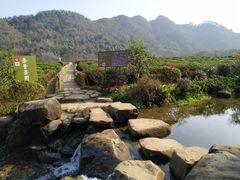 -中国茶叶博物馆(双峰馆区)