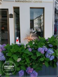 -新蝶变皮肤管理中心