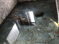 -不止轰趴独栋别墅户外烧烤(颐西庄园店)