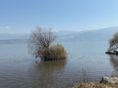 -西昌邛海湿地