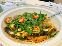 砂锅鱼头-小北江河鲜(旧城店)